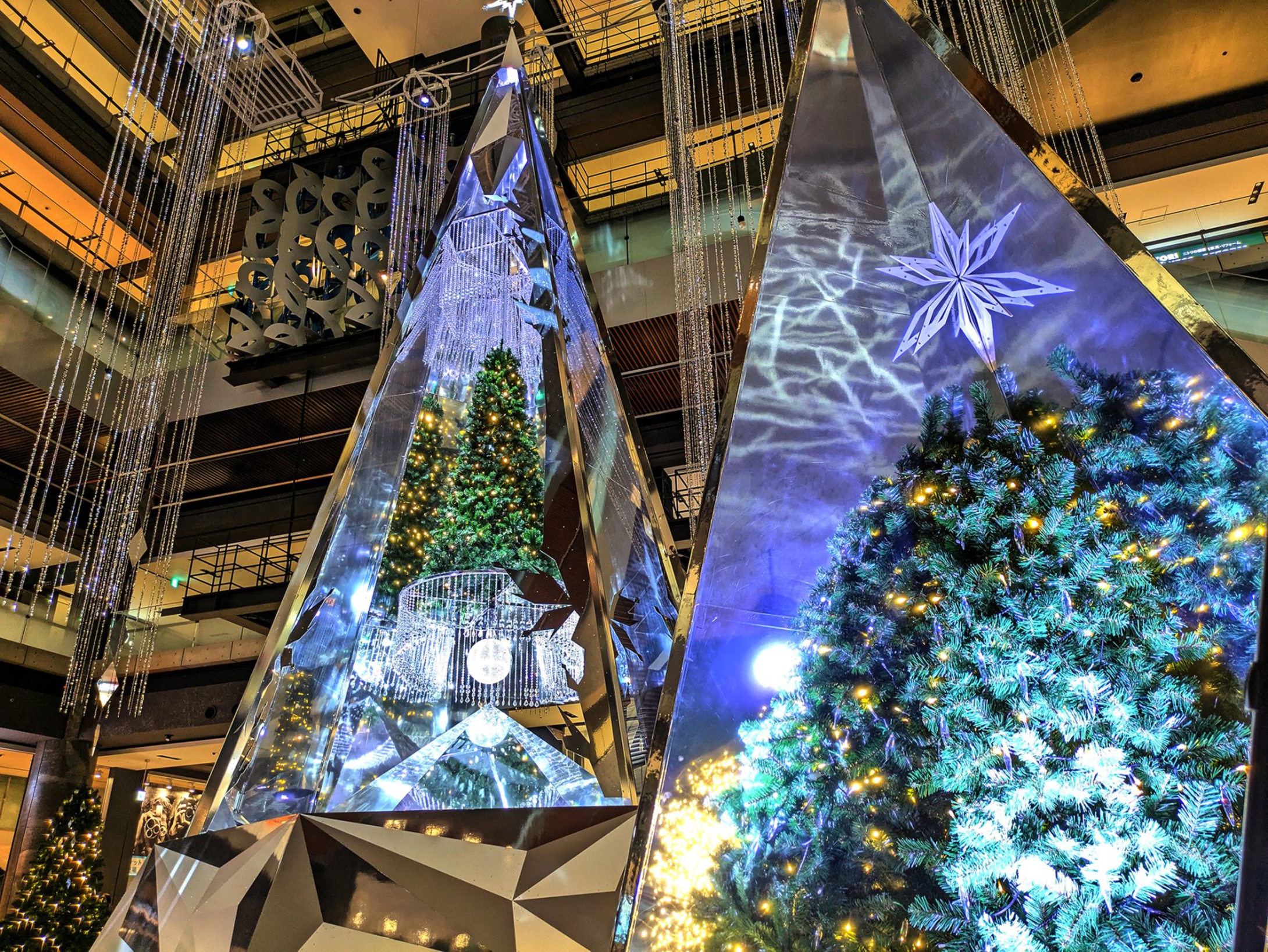 GRAND WISH CHRISTMAS 2024 ~Infinity Lights~